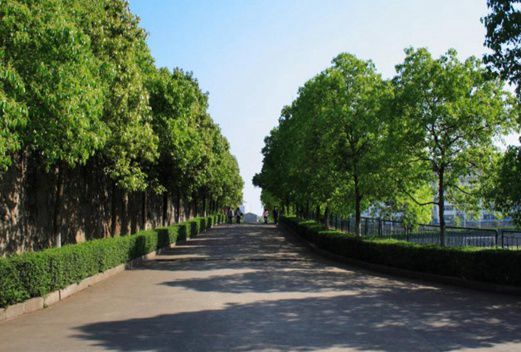 长沙卫生职业学院