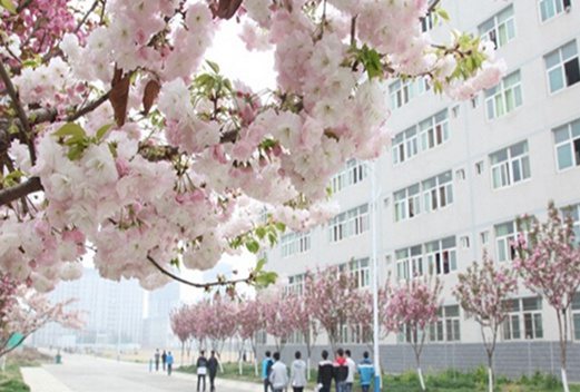 曲阜中医药学校