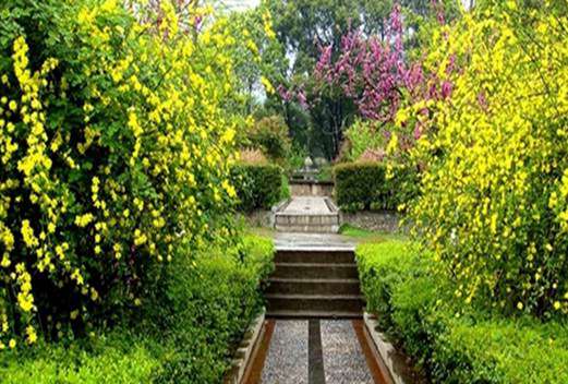 曲阜中医药学校