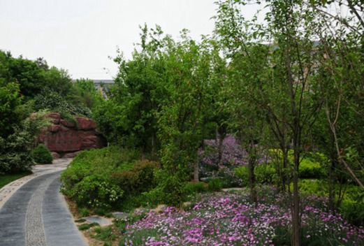 濮阳市油田职业中等专业学校