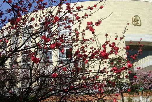 武汉机电工程学校