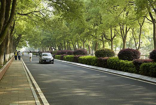 益阳职业技术学院