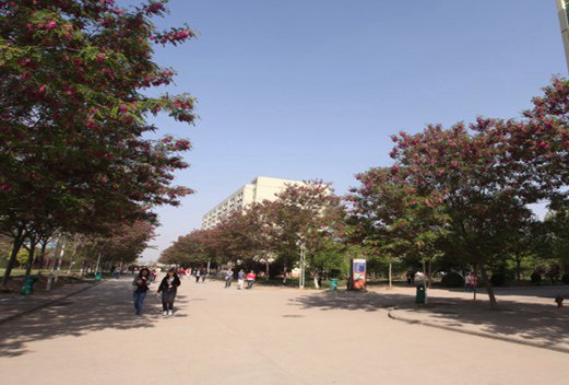 河南工业贸易职业学院