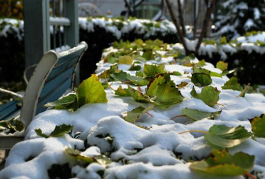 湖北汽车工业实验技工学校