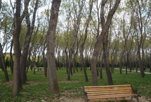 山东协和学院成人教育学院