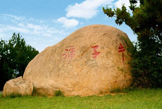 山东协和学院成人教育学院