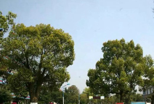 湖南应用技术学院