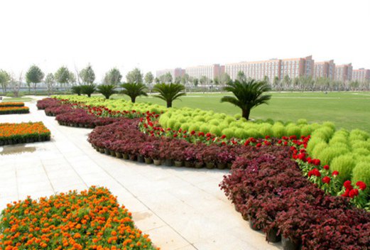 河南煤炭卫生学校