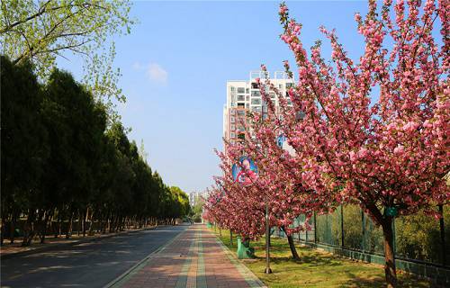 湖北信息工程学校