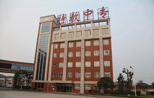 湖南特教中等专业学校