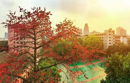 广东省商业职业技术学校