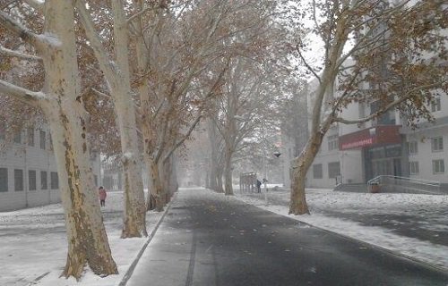 河南农业职业学院