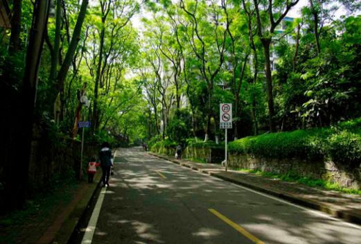 西南大学网络与继续教育学院