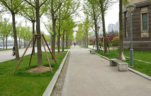 乐山沙湾职业高级中学