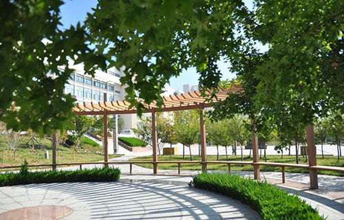 乐山沙湾职业高级中学