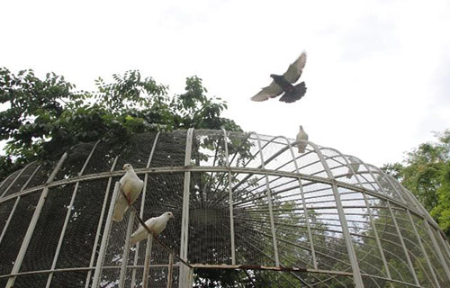 自贡电子信息职业技术学校