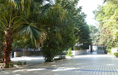 攀枝花商贸电子职业技术学校