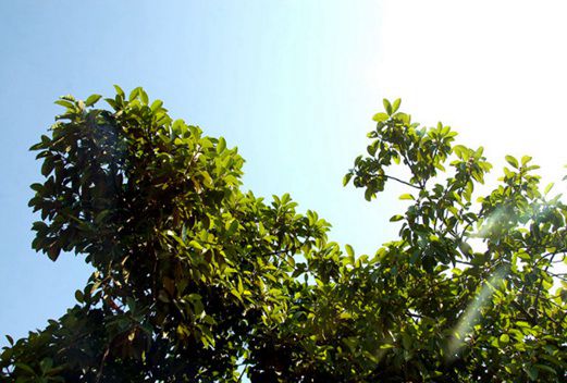 广东职业技术学院