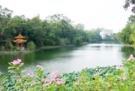 广西医科大学成人教育