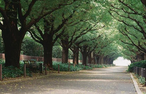 成都广信数字技术职业学校