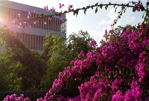 东莞汽车技术学校