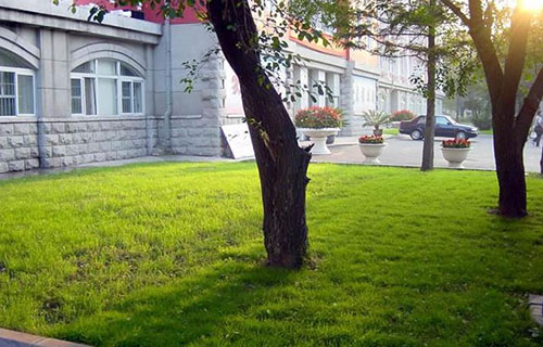 成都铁路工程学校