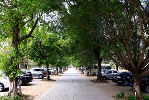 汕头潮阳区职业技术学校