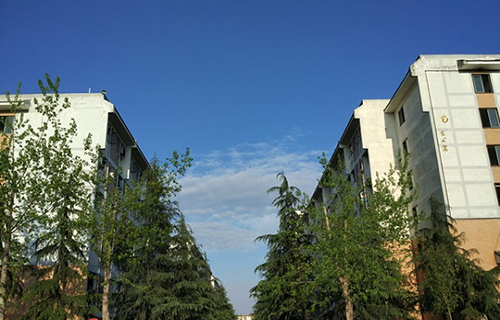 四川爱华职业学院