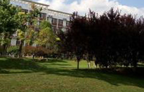 简阳市育英文武职业技术学校