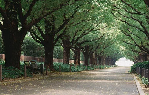 成都五月花高级技工学校