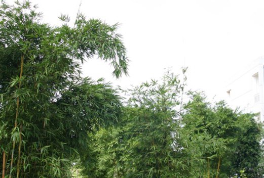 柳州铁道职业技术学院