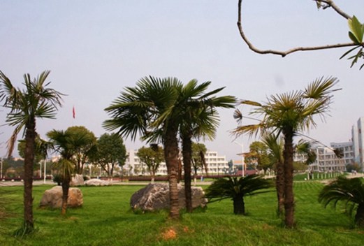 柳州铁道职业技术学院