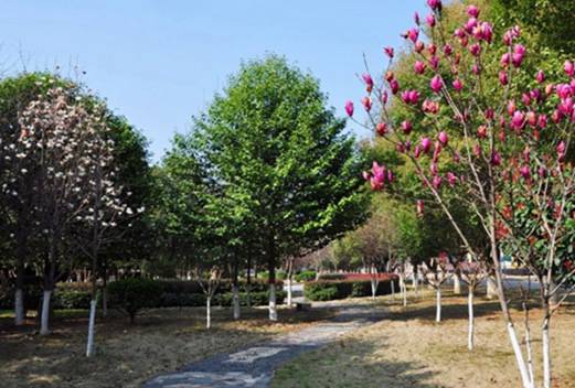 广西工业职业技术学院