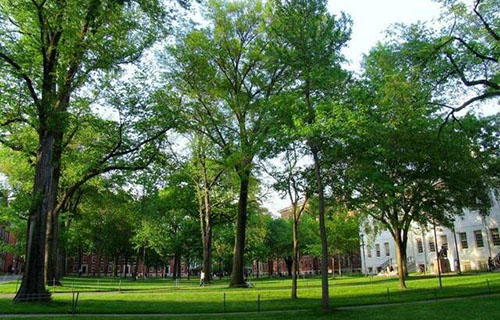 夹江县云吟职业中学校