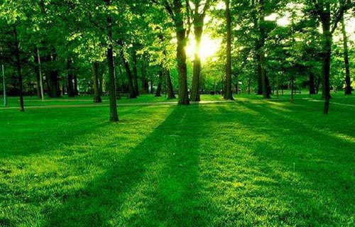 乐山职业技术学院