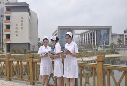 惠州卫生职业技术学院