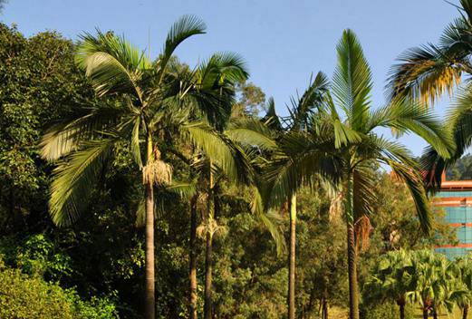 广州番禺职业技术学院