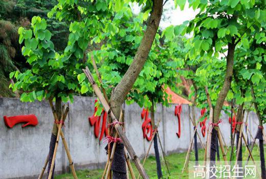 广东信息工程职业学院