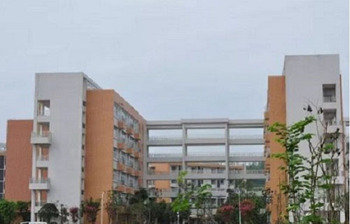 德阳弘正运动职业学校