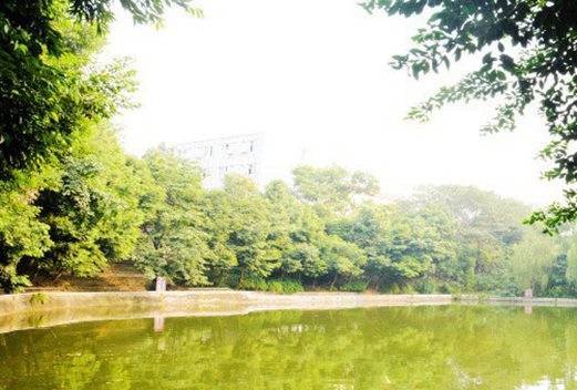 成都华大医药卫生学校