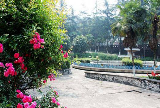 乐山市医药科技学校