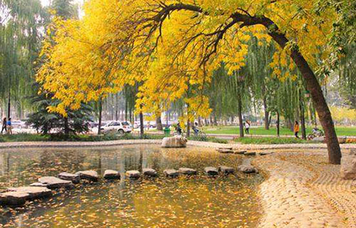 四川音乐学院附属中等艺术学校