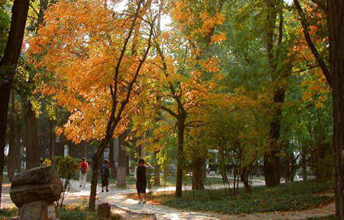 四川筠连县职业技术学校