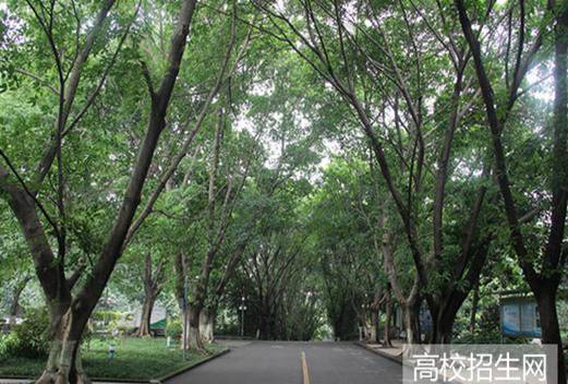 重庆知行卫生学校