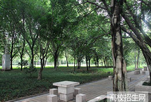 重庆知行卫生学校