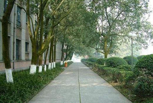 泸州医学院卫生学校