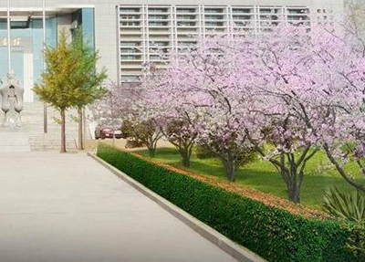 四川蜀都卫生学校