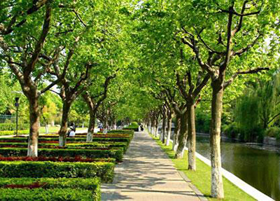 成都交通高级技工学校