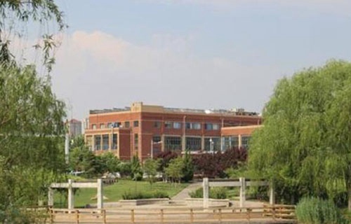 大新县职业技术学校