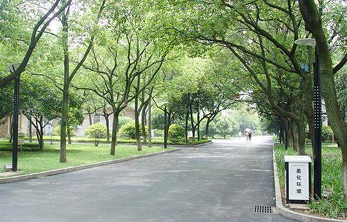 大新县职业技术学校